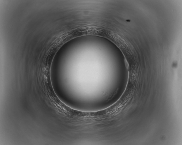 X0000095911010200801111227