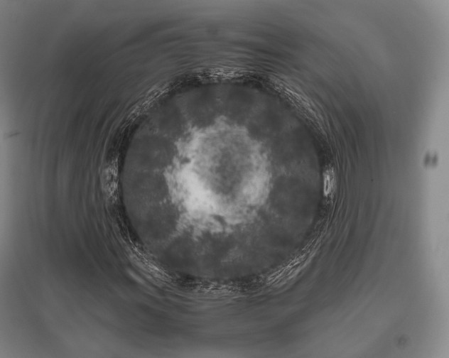 X0000095911011200801111227