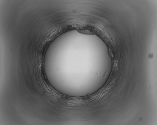 X0000095911012200801111227