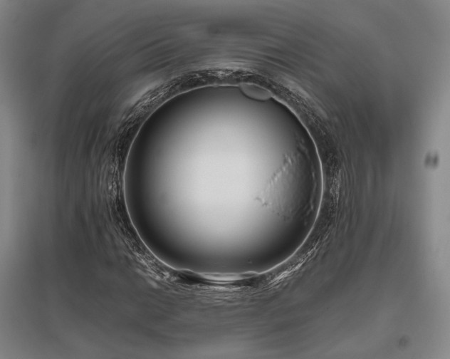 X0000095911014200801111227