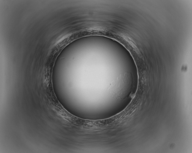 X0000095911015200801111227
