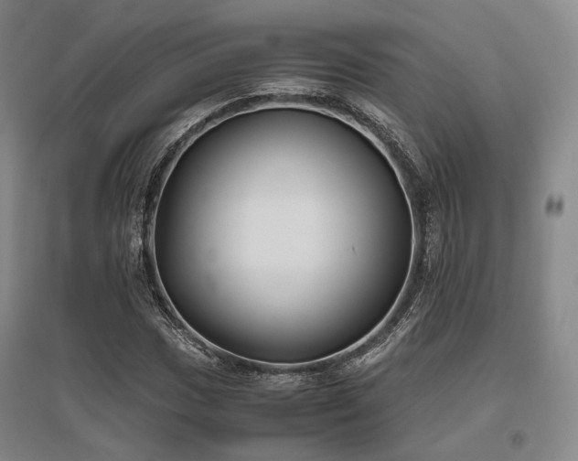 X0000095911017200801111227