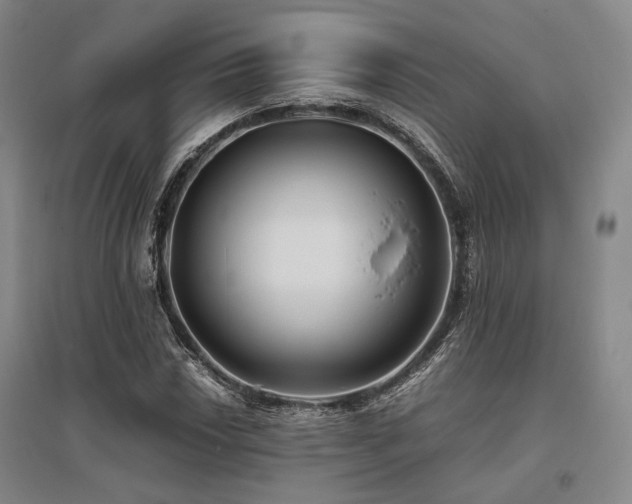 X0000095911018200801111227