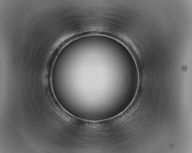X0000095911019200801111227