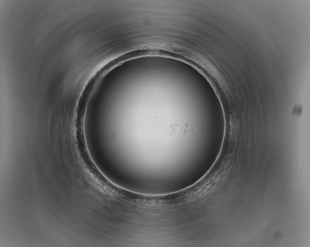 X0000095911020200801111227