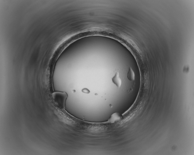 X0000095911021200801111227