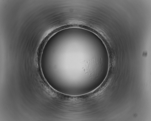 X0000095911022200801111227