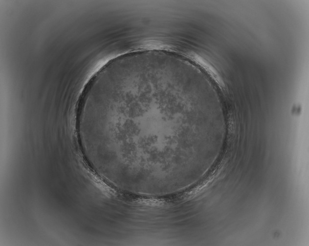 X0000095911023200801111227