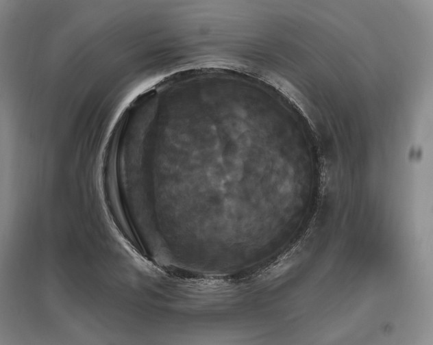 X0000095911024200801111227