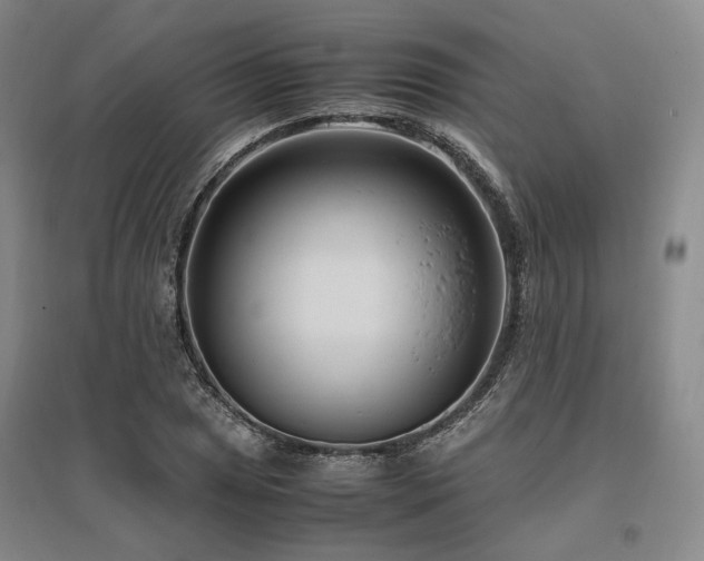 X0000095911025200801111227