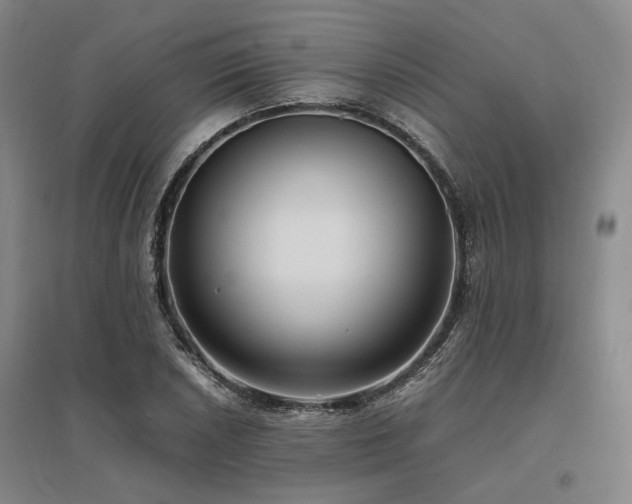 X0000095911026200801111227