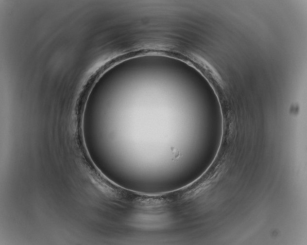 X0000095911027200801111227