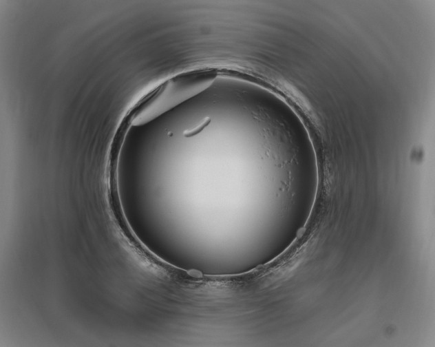 X0000095911028200801111227