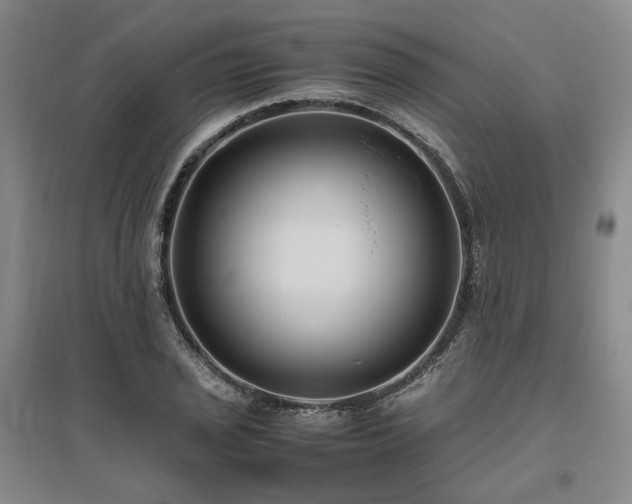 X0000095911029200801111227