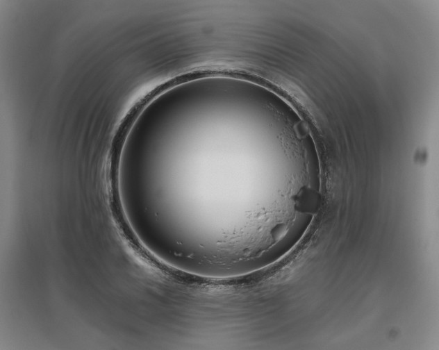 X0000095911030200801111227
