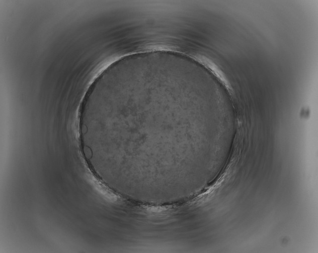 X0000095911031200801111227