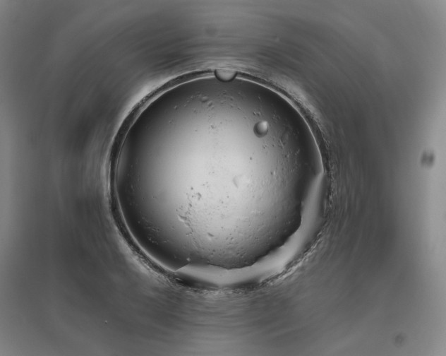 X0000095911032200801111227