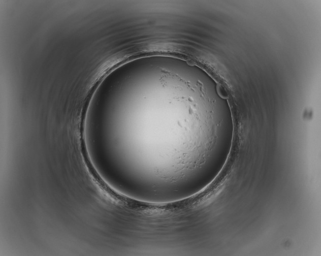 X0000095911033200801111227