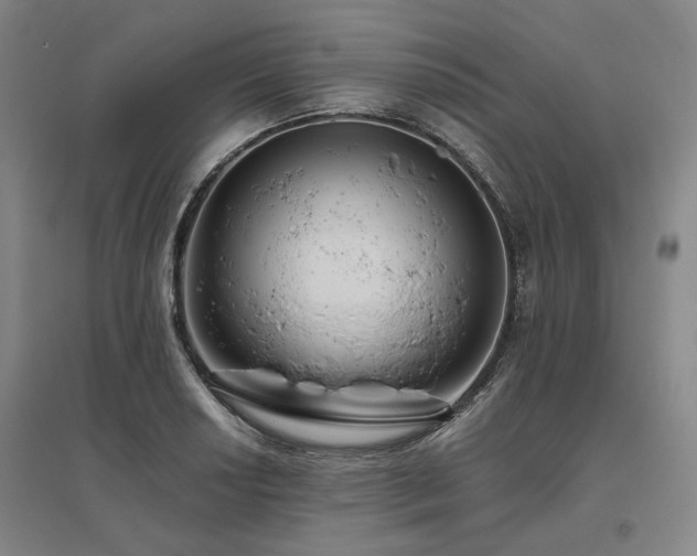 X0000095911034200801111227