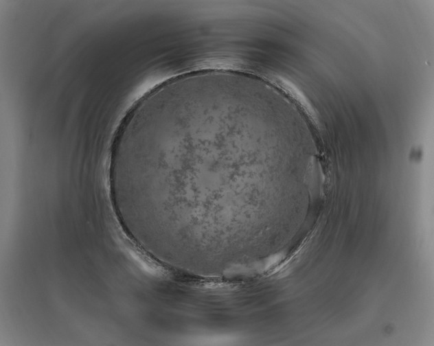 X0000095911035200801111227