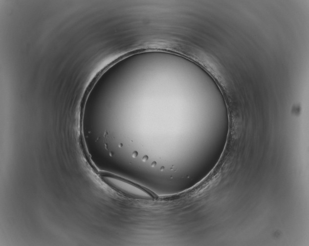X0000095911036200801111227
