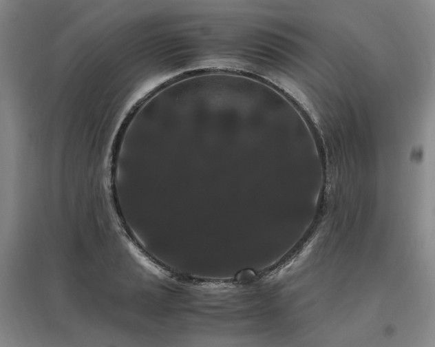 X0000095911037200801111227