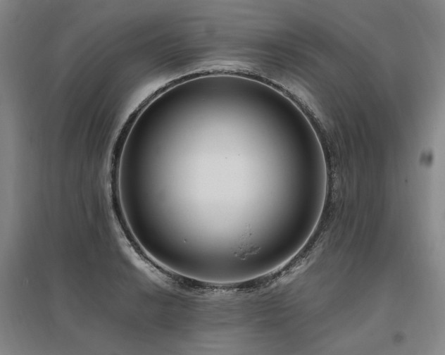 X0000095911038200801111227