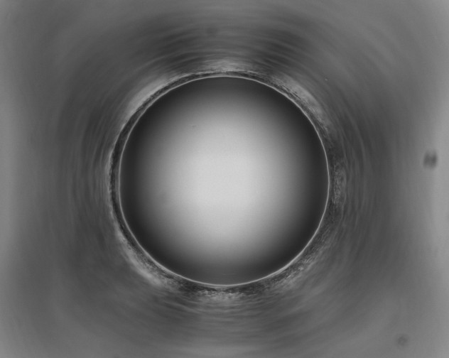 X0000095911039200801111227