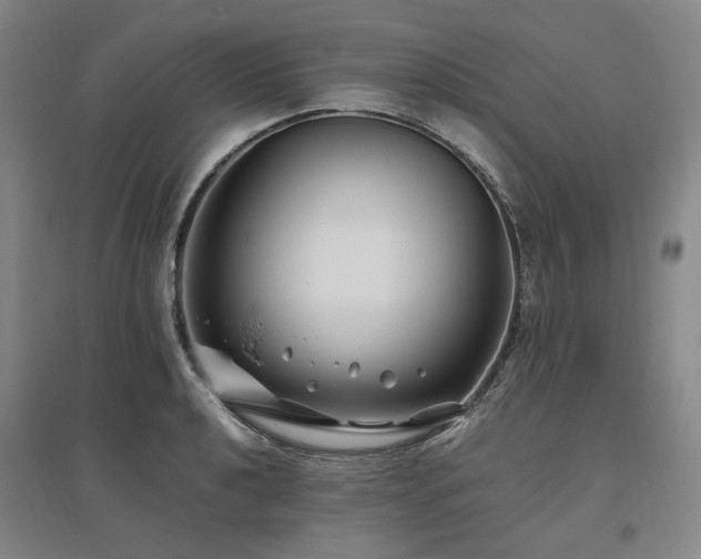 X0000095911040200801111227