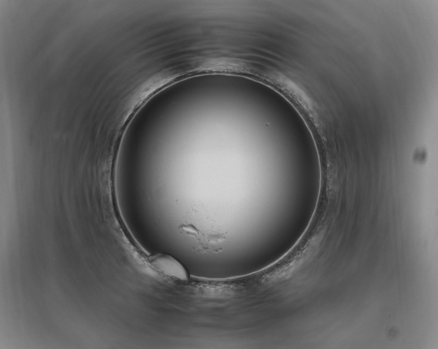 X0000095911041200801111227