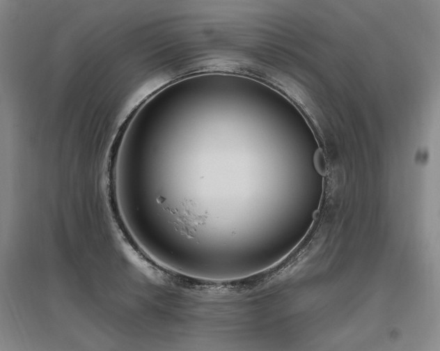 X0000095911042200801111228