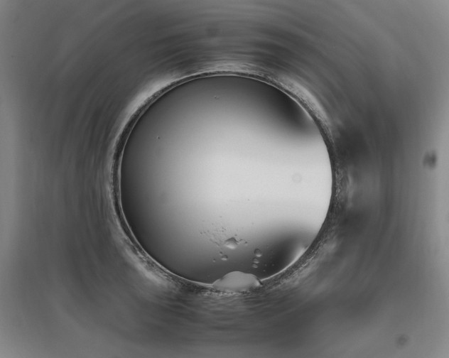 X0000095911043200801111228