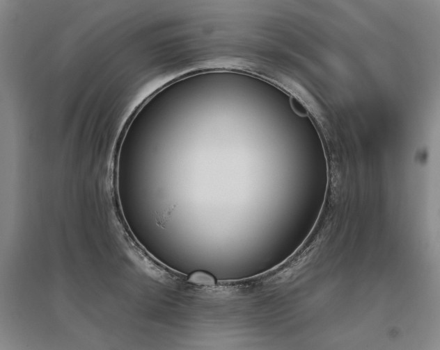 X0000095911044200801111228