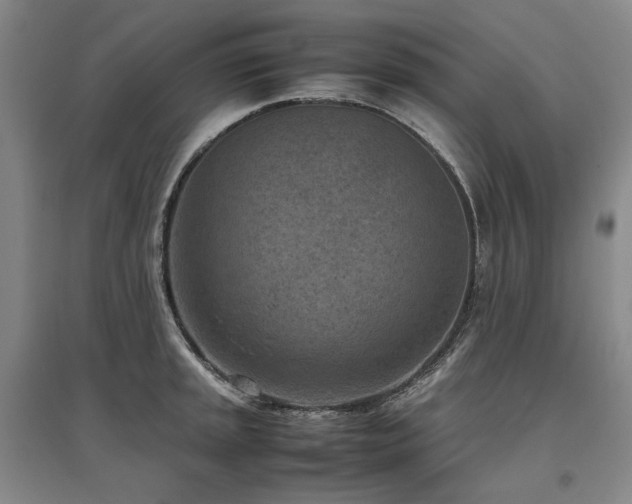 X0000095911045200801111228
