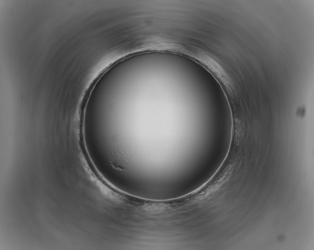 X0000095911046200801111228