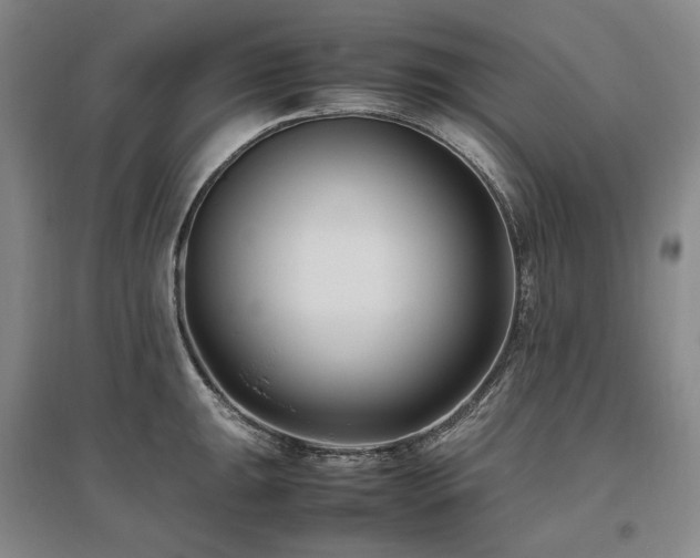 X0000095911047200801111228