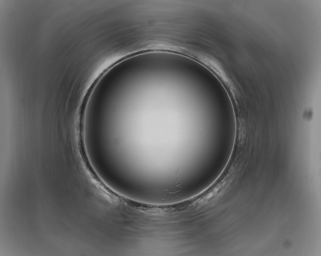 X0000095911048200801111228