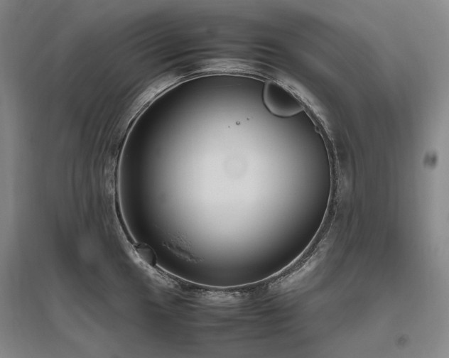X0000095911049200801111228