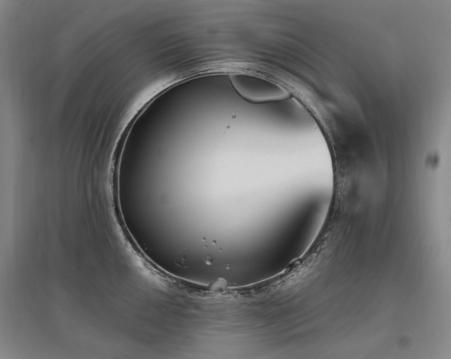 X0000095911050200801111228
