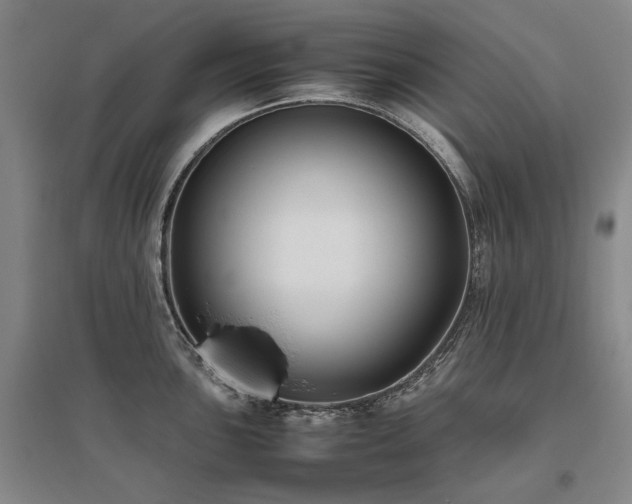 X0000095911051200801111228