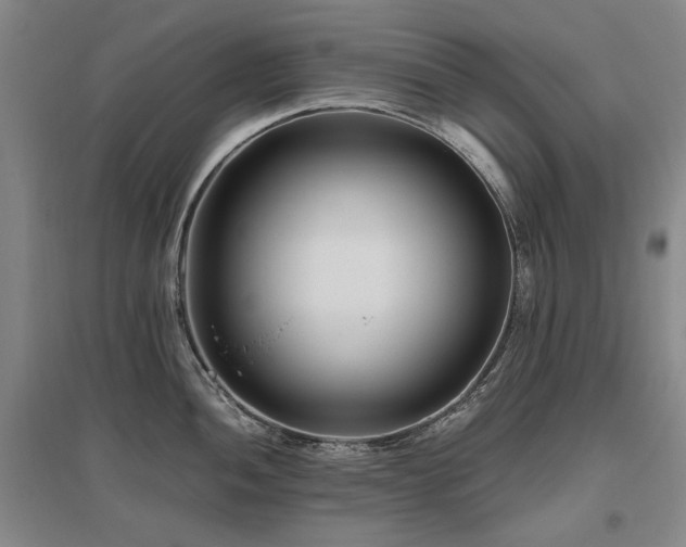 X0000095911052200801111228