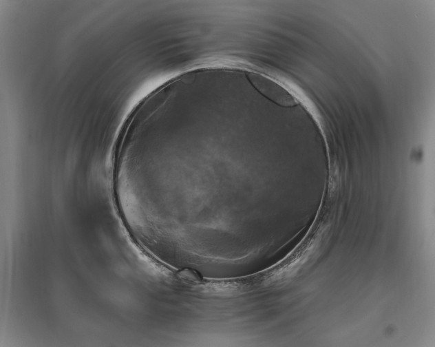 X0000095911053200801111228