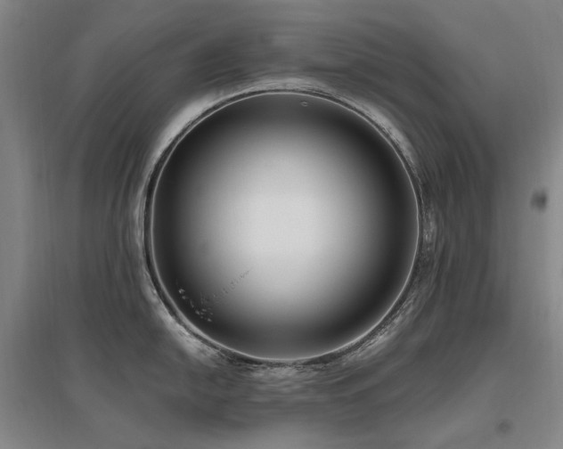 X0000095911054200801111228