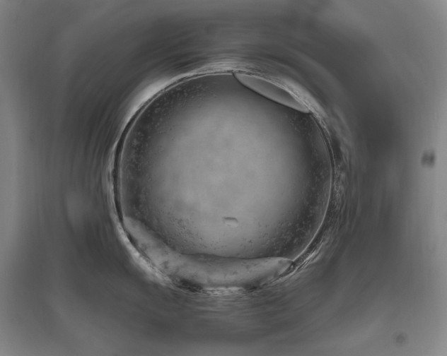 X0000095911055200801111228