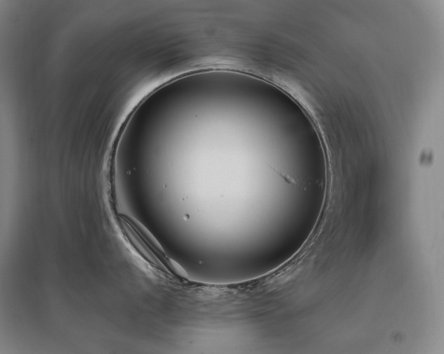 X0000095911056200801111228
