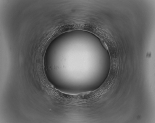 X0000095911057200801111227