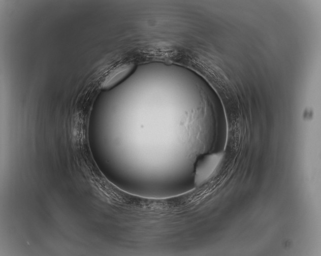 X0000095911058200801111227