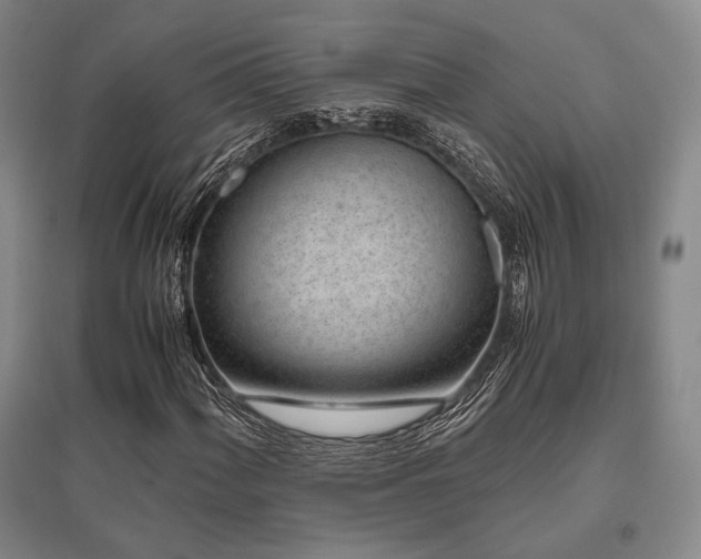 X0000095911060200801111227