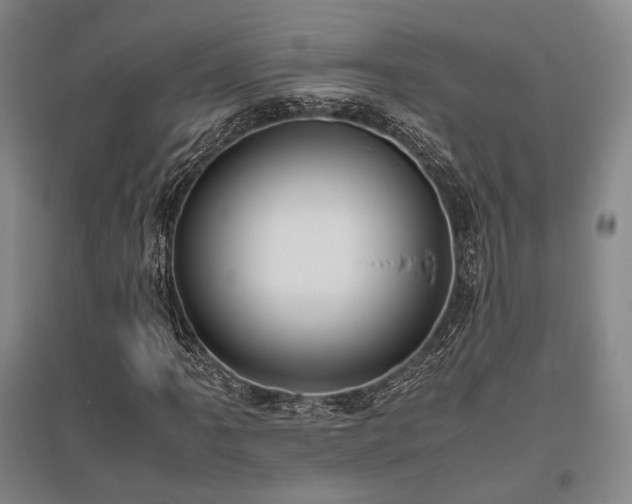 X0000095911061200801111227