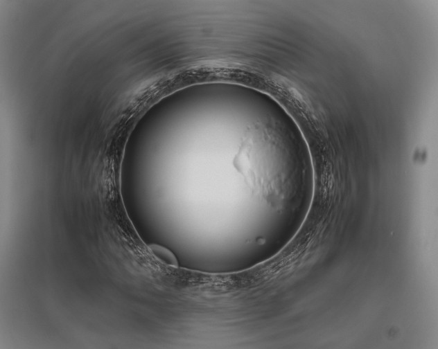 X0000095911062200801111227